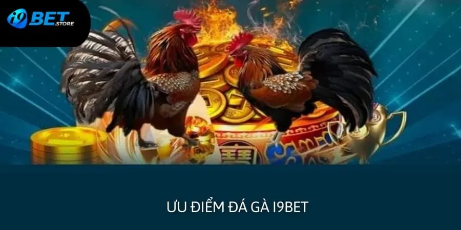 Những thế mạnh mà sảnh chọi gà I9BET đang sở hữu