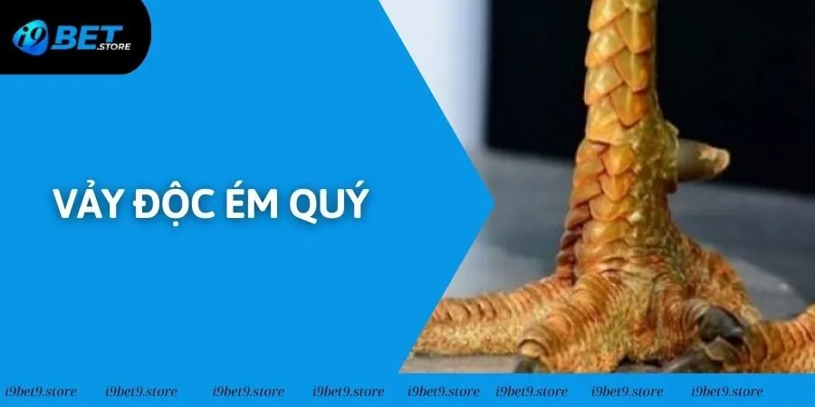 Vảy Độc Ém Quý - Cách Thức Nhận Diện Chuẩn Xác Nhất 2025